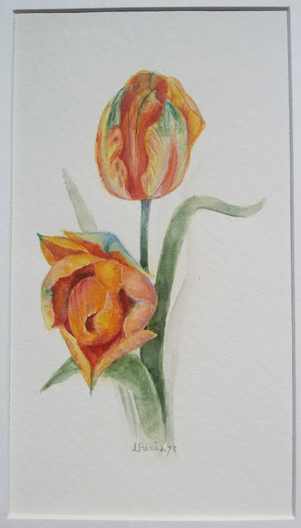 J. Paris - Bloemen en vruchten, 5x gemengde techniek (in passe-partout) kopen? Bied vanaf 40!
