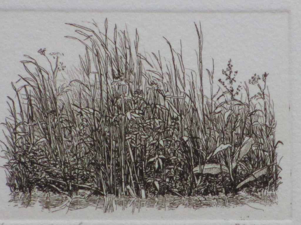 Han van Hagen, Sloot, Ets kopen? Bied vanaf 35!