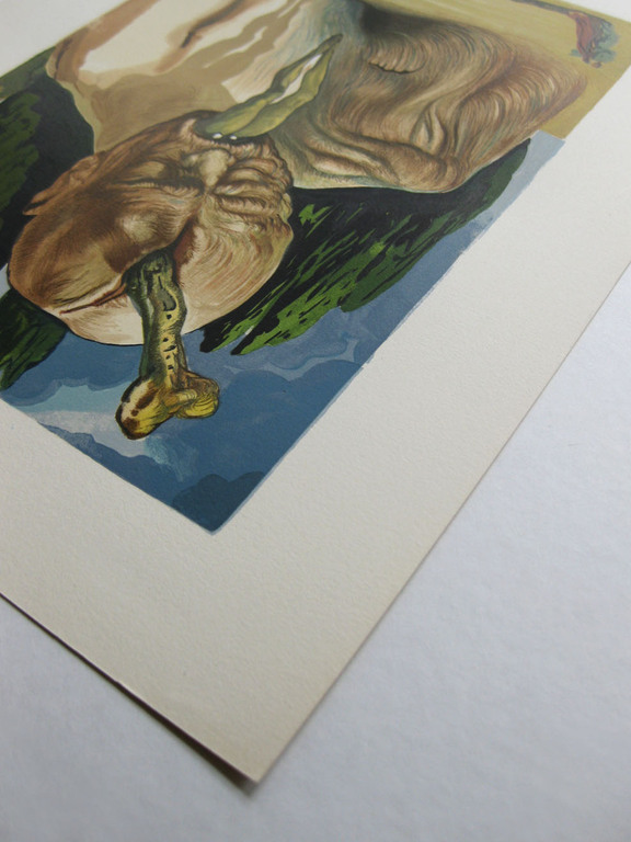 Salvador Dali - 'De logische duivel' (Canto 27) - Originele Houtgravure, 1960 kopen? Bied vanaf 120!