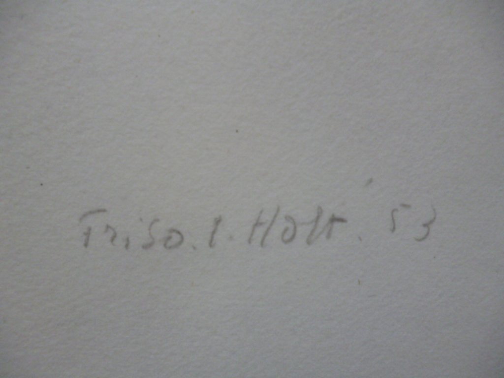 Friso ten Holt - litho - Gevecht kopen? Bied vanaf 45!