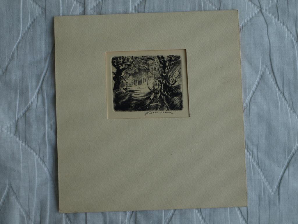 Theo Beerendonk (1905–1979) : Ets, droge naald - Bos – gesigneerd – ca 1950 kopen? Bied vanaf 25!