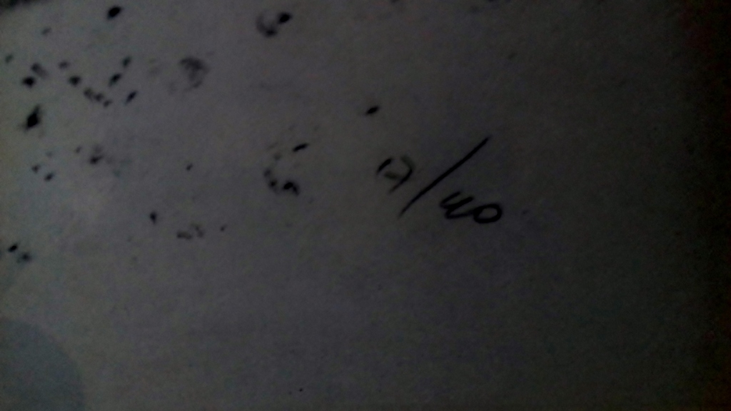 Lei Molin: Zeer groot formaat zeefdruk zonder titel uit 1989 kopen? Bied vanaf 275!