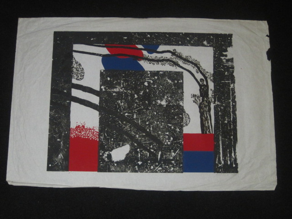 Jef Diederen (1920-2009) grote kleurenlitho "de Val" gesigneerd ca. 1970 kopen? Bied vanaf 1!