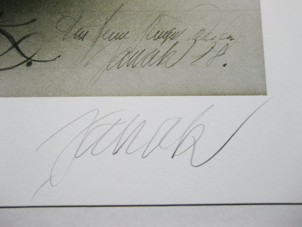 Alois Janak. -De Zwarte Olifant- Mooie Giclee. Handgesigneerd, 2013. kopen? Bied vanaf 89!