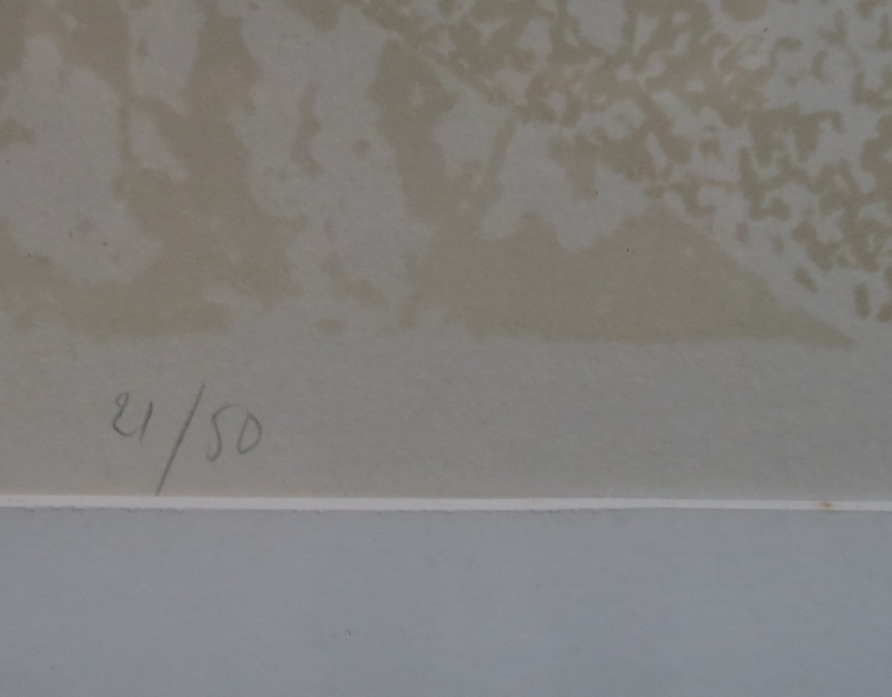 Jan van Krieken: Litho, Posities - Ingelijst kopen? Bied vanaf 20!