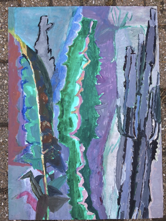 Hans Ebeling Koning, gouache, Cactussen kopen? Bied vanaf 50!