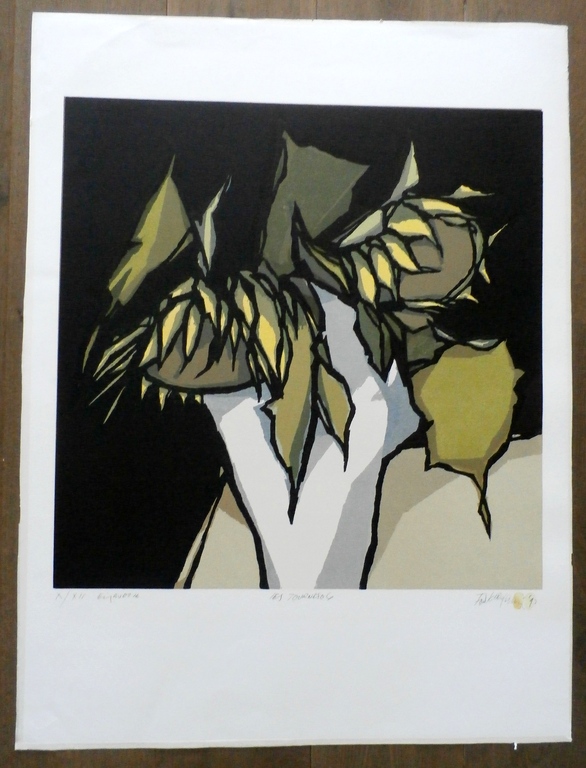 Fon Klement - grote boardsnede: Les Tournesois - 1992 kopen? Bied vanaf 195!