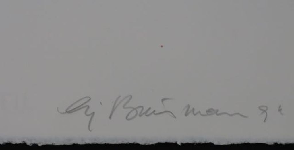 Sjoerd Buisman: Litho, Rhizome kopen? Bied vanaf 25!