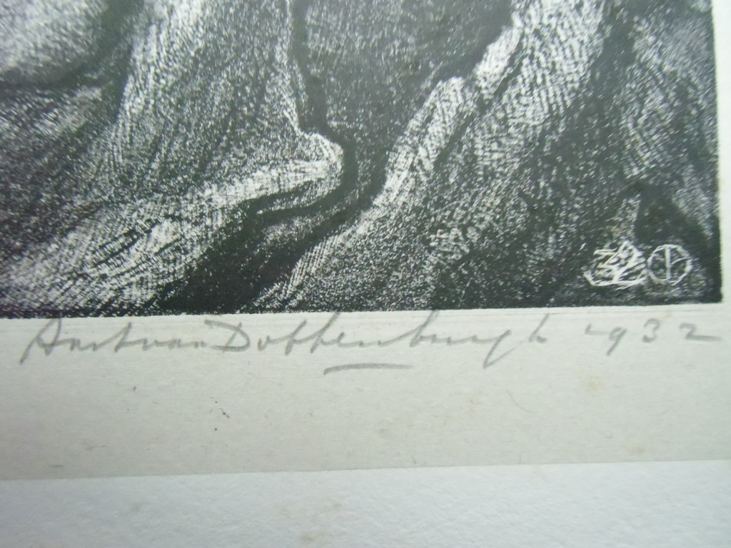DUINLANDSCHAP  ///  LITHO VAN AART VAN DOBBENBURGH kopen? Bied vanaf 50!