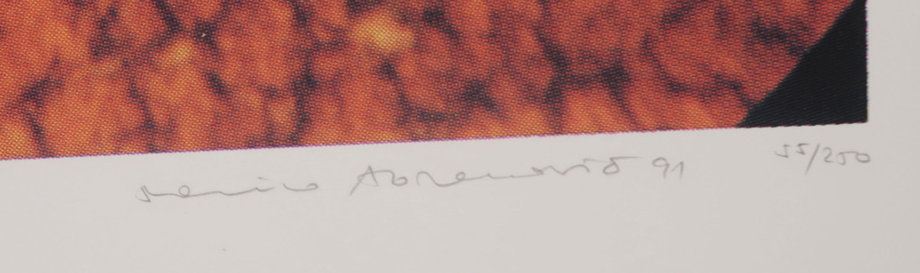 Marina Abramovic: Zeefdruk, Z.T. kopen? Bied vanaf 115!