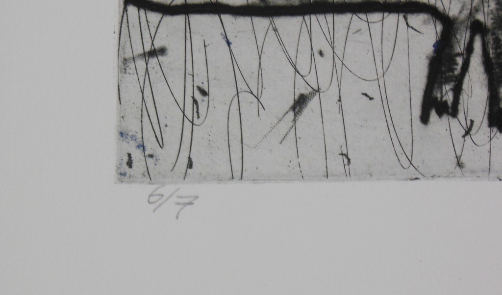 Daphne Ritzen: Ets, Krokodil kopen? Bied vanaf 1!