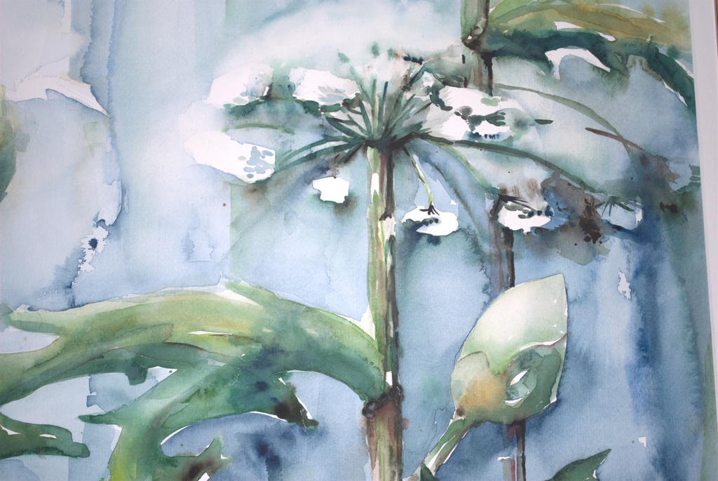 AQUAREL -- 50X70 CM -- FRAAI INGELIJST kopen? Bied vanaf 29!