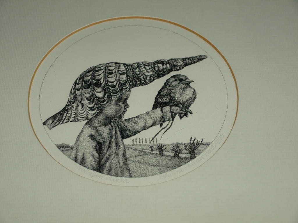 Joséphine Vast – Pentekening – Gevlogen vlucht – Gesigneerd – 1975 – Ingelijst kopen? Bied vanaf 75!
