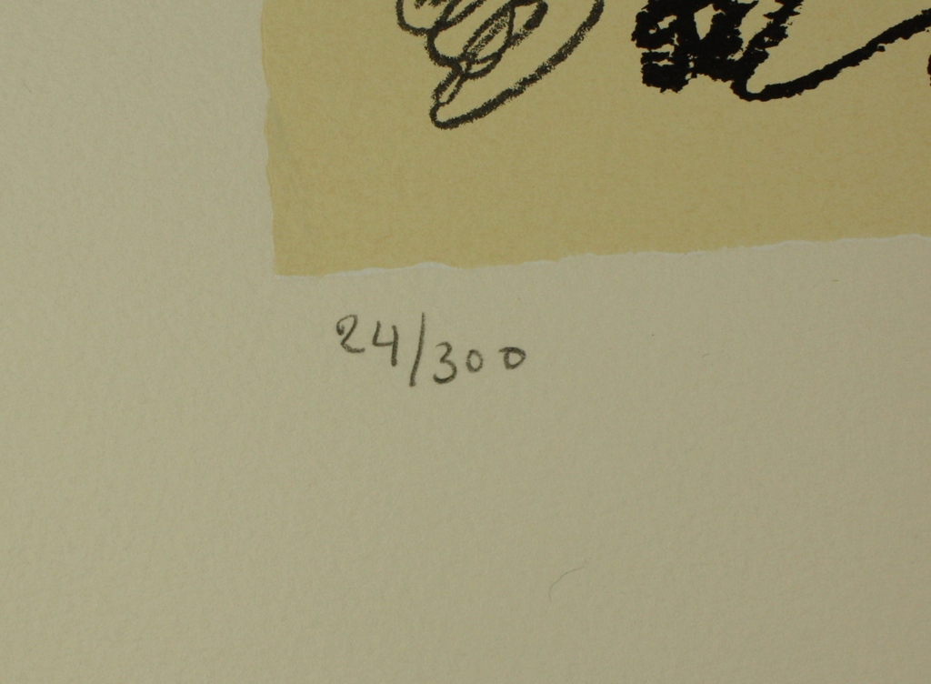 Kees Salentijn, zeefdruk kopen? Bied vanaf 85!