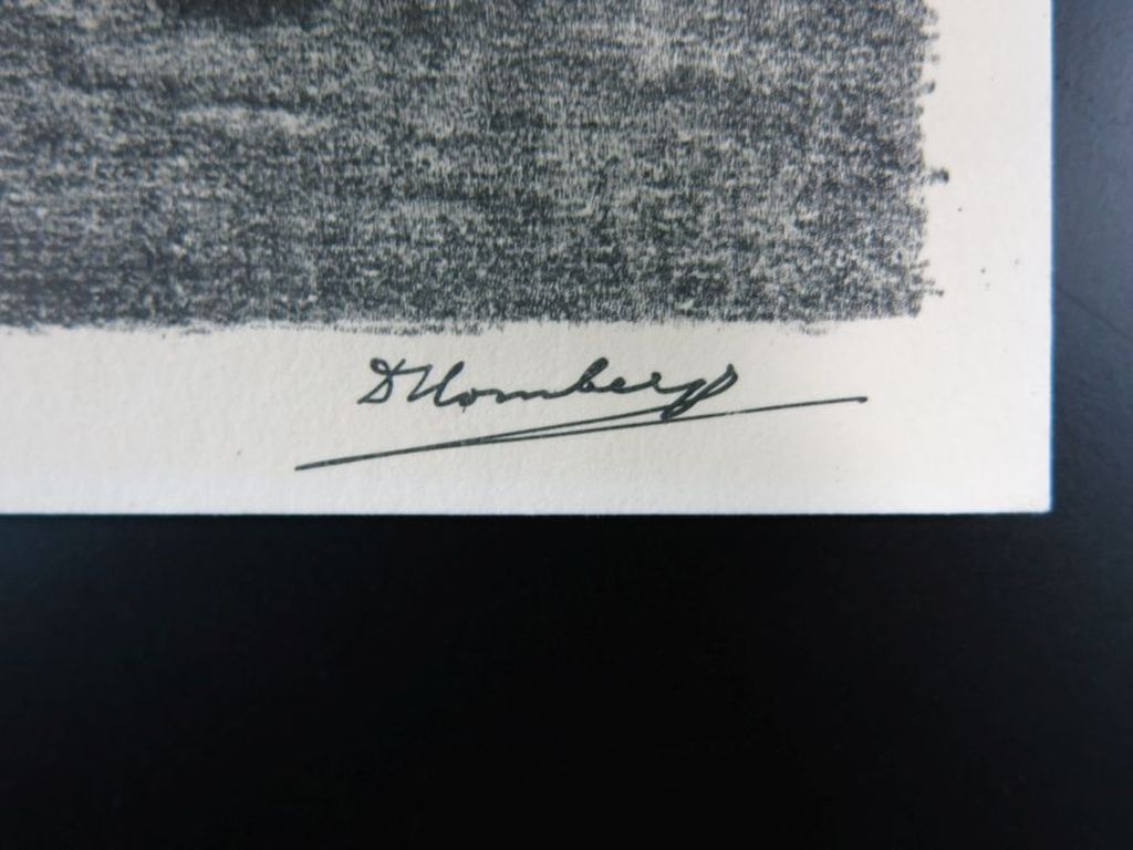 Dirk Homberg: 2x Litho, Bokjes en Zeearend kopen? Bied vanaf 35!