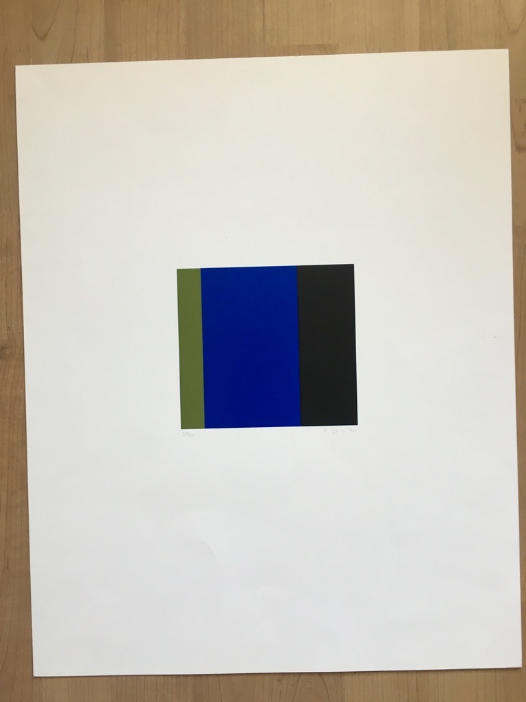 Groen/Blauw/Zwart, modernistisch werk handgesigneerd, 38/40 kleurendruk kopen? Bied vanaf 45!
