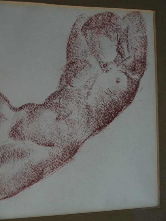 Cephas Stauthamer : Tekening , Josje naakt – gesigneerd & ingelijst – ca 1960 kopen? Bied vanaf 25!