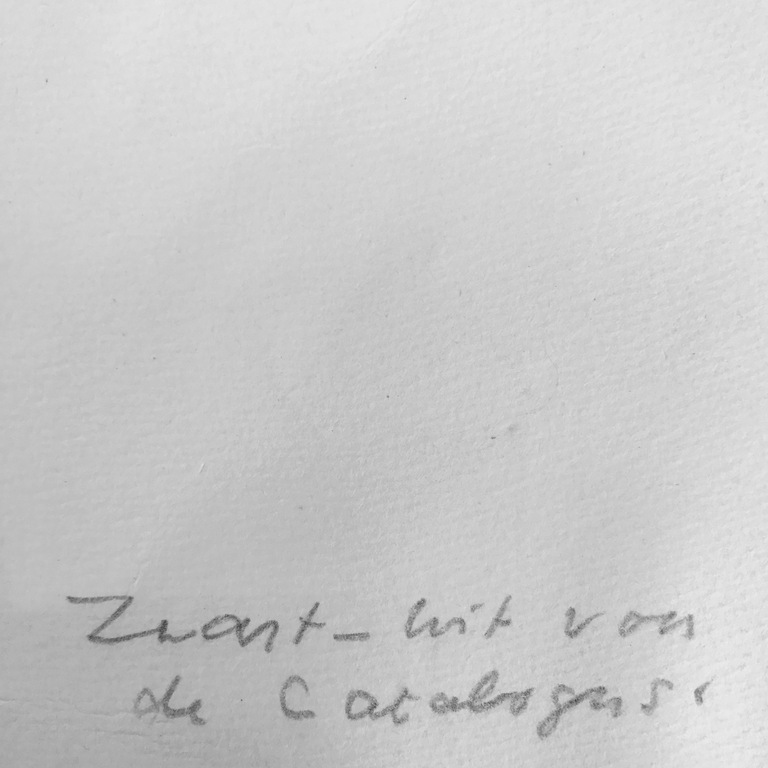 Jeanne Bieruma Oosting - Reptile - Zeldzame ets - gesigneerd - 1970 kopen? Bied vanaf 1!
