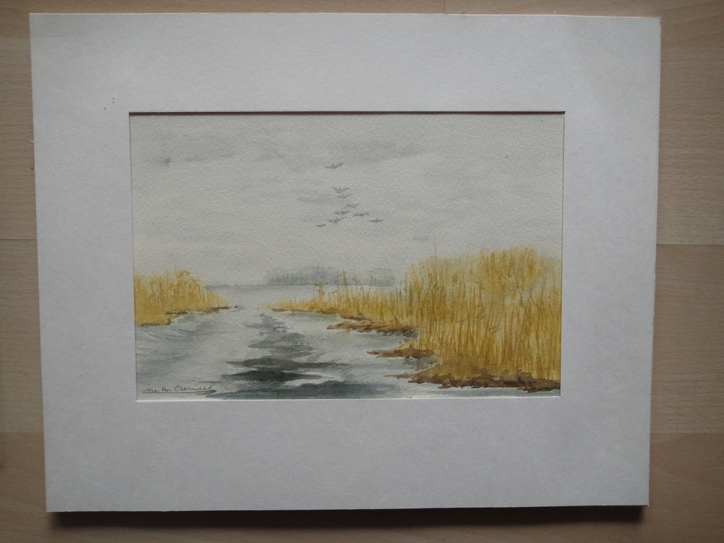 Marijke Cremers, aquarel, rietkraag aan plas met overvliegende eenden kopen? Bied vanaf 1!