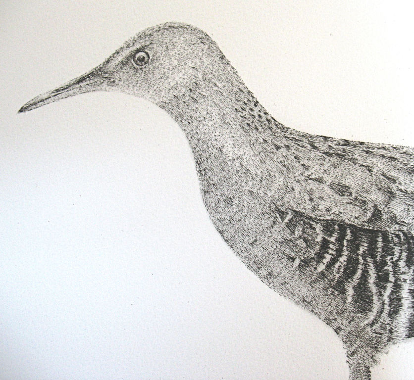 waterral 1974 verkocht voor € 120!