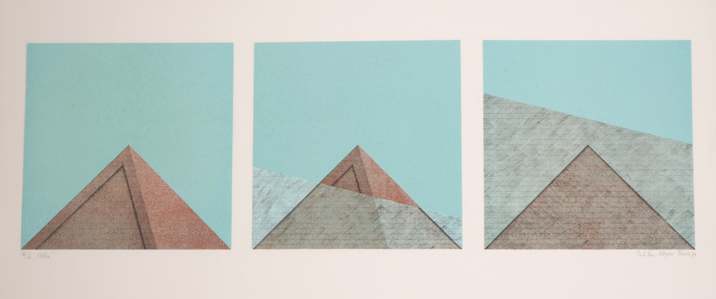 Erik Roos: Litho, Albigesi Firenze kopen? Bied vanaf 1!