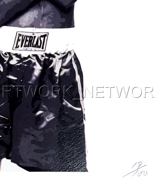 DEATH NYC "Fight B" n°19/100 - Signed with COA (Limited Edition Prints 100) kopen? Bied vanaf 25!