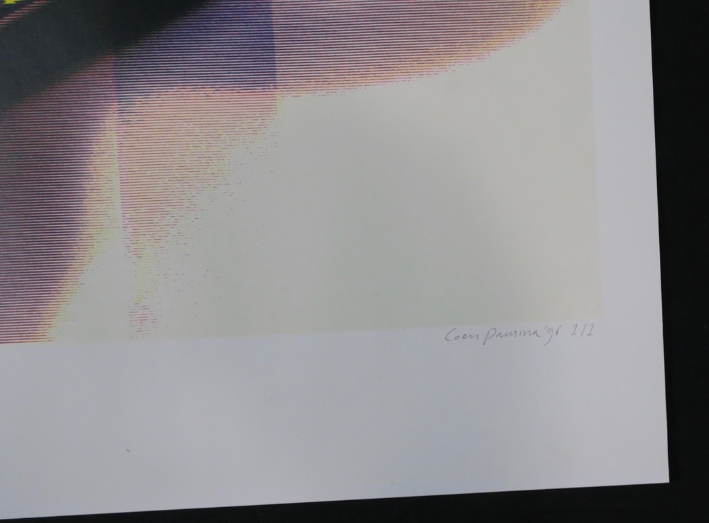 Coen Pausma: Zeefdruk, Z.T. kopen? Bied vanaf 1!