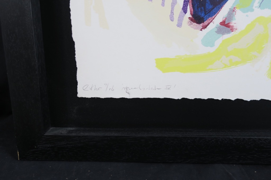 Ron Gennisse: Litho, Speelsdak IV - Ingelijst (groot) kopen? Bied vanaf 50!