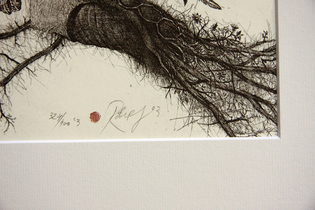 Robert Baramov, droge naald ets, ex libris Pegasus kopen? Bied vanaf 30!