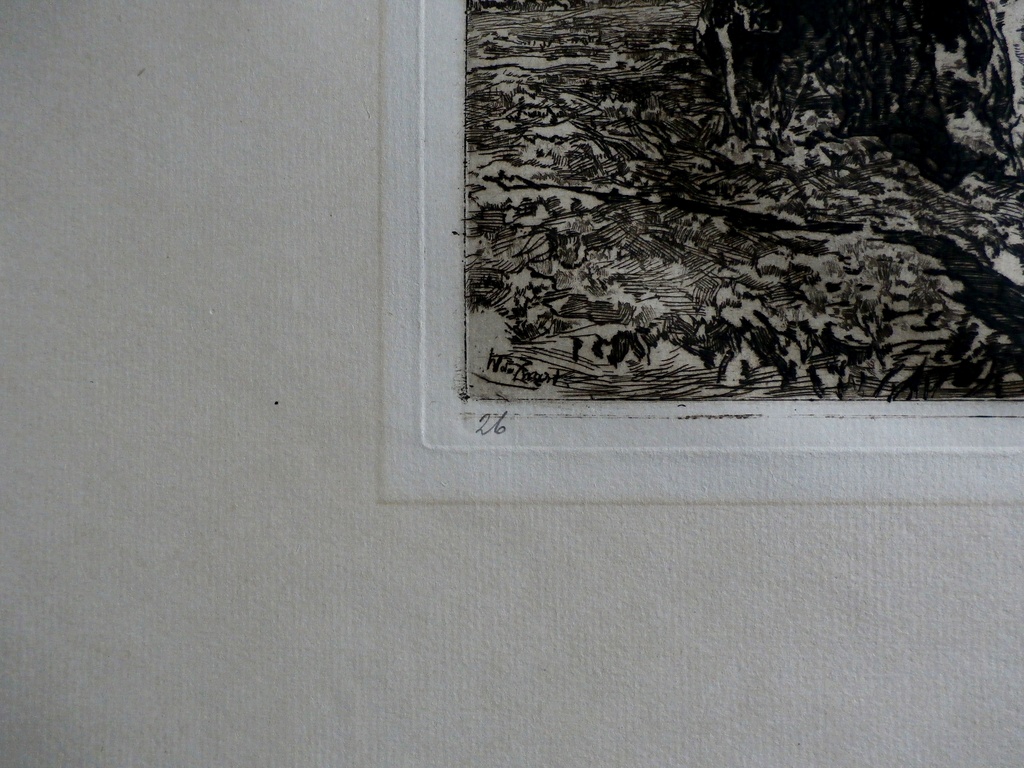 Willem de Zwart - grote ets: Koeien in landschap  kopen? Bied vanaf 40!