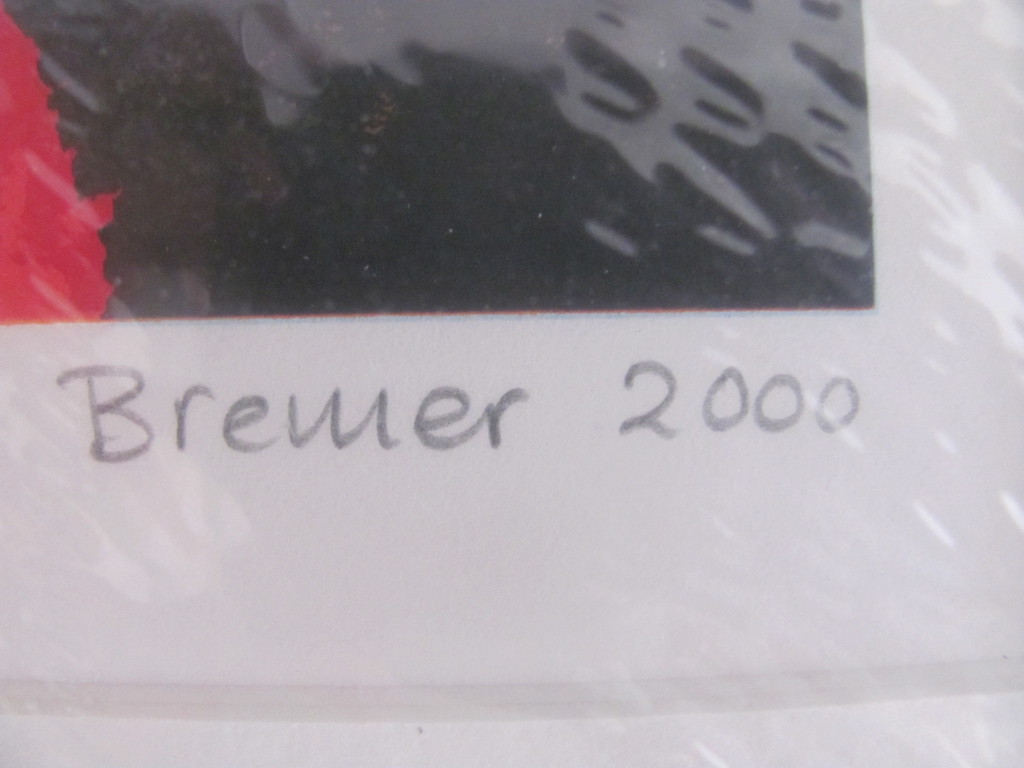 Saskia Bremer (1964), 2 zeefdrukken en kunstboek kopen? Bied vanaf 25!