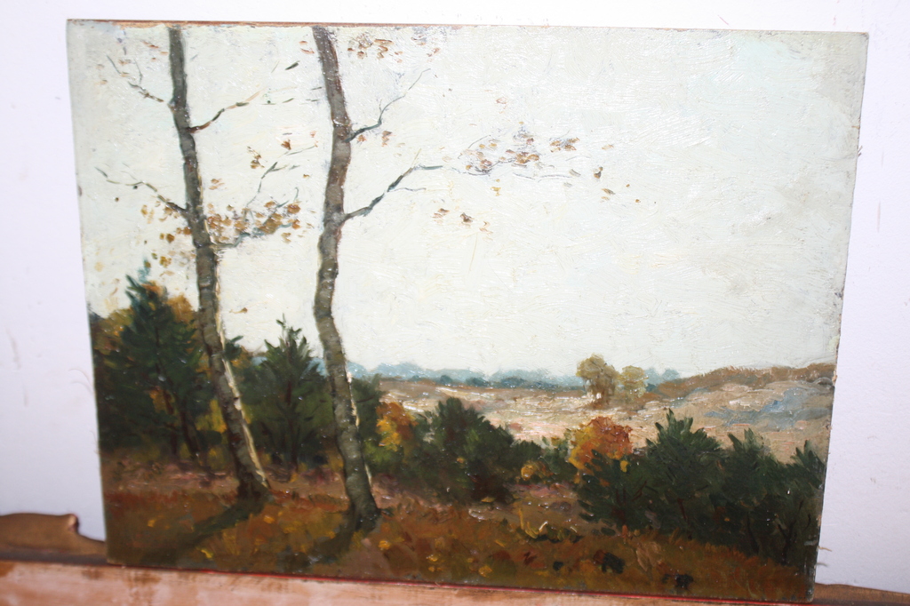 HAAGSE SCHOOL - HEIDELANDSCHAP VAN HERM OOSTERZEE kopen? Bied vanaf 150!