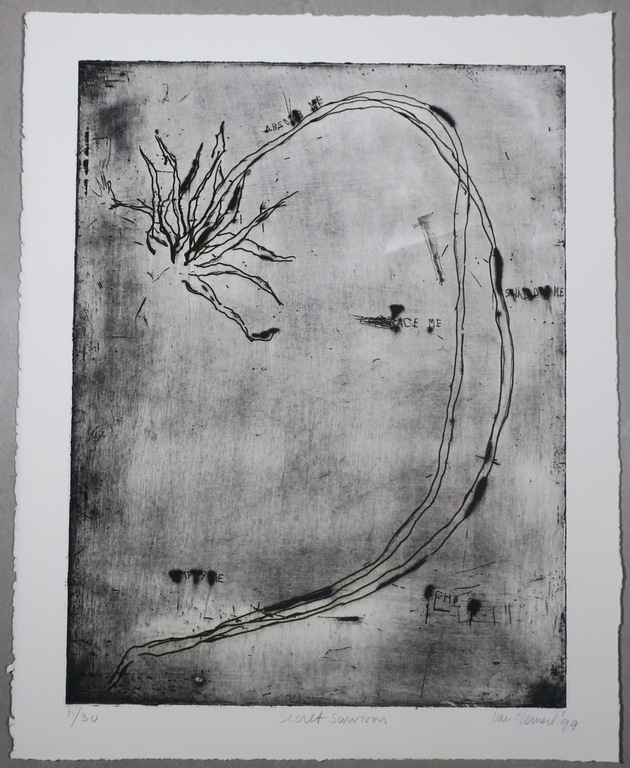 Frank van Hemert: Ets, Secret survivors II kopen? Bied vanaf 50!