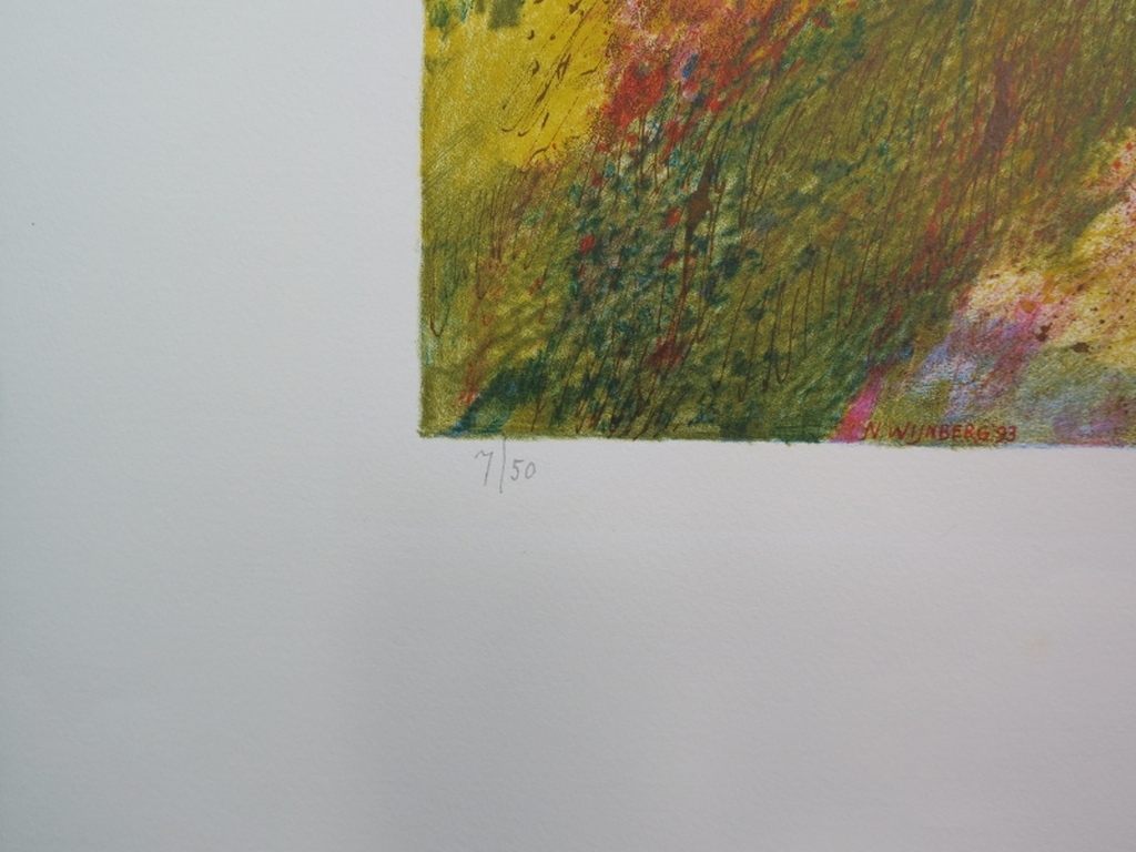 Nicolaas Wijnberg: Litho, Heuvellandschap kopen? Bied vanaf 70!