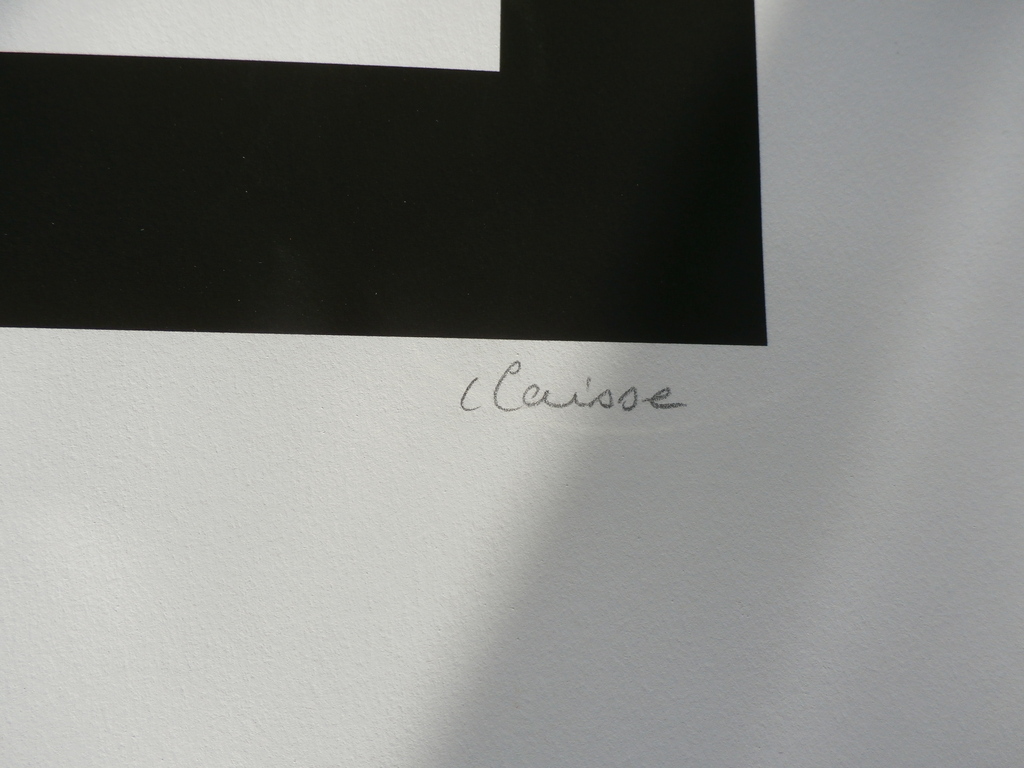 Genevieve Claisse - 3D print - Melodique - 2015 kopen? Bied vanaf 295!