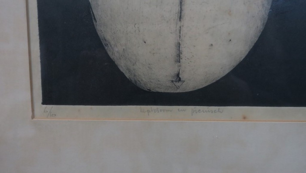 Ad Willemen: Ets, Leptosoom en pictisch - Ingelijst kopen? Bied vanaf 1!