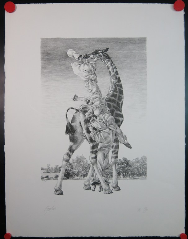 Peter Vos: Litho, Gevoelens kopen? Bied vanaf 100!