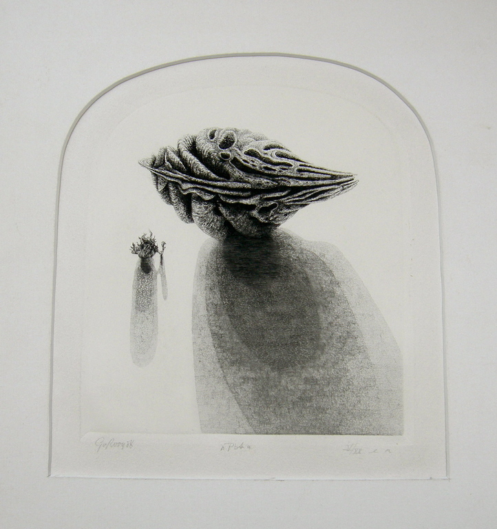 Gerard van Rooy, ets: Pit verkocht voor € 40!