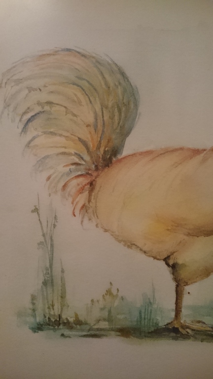 Aquarel 'haan' van P. van Liessum? kopen? Bied vanaf 1!