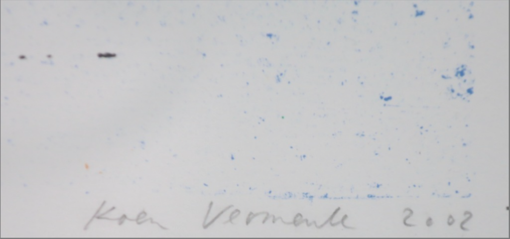 Koen Vermeule: Zeefdruk, Plein kopen? Bied vanaf 80!