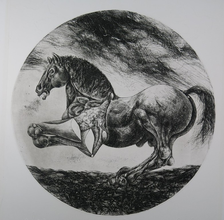 Willem Snitker: Ets, blinddruk, Paard  kopen? Bied vanaf 1!