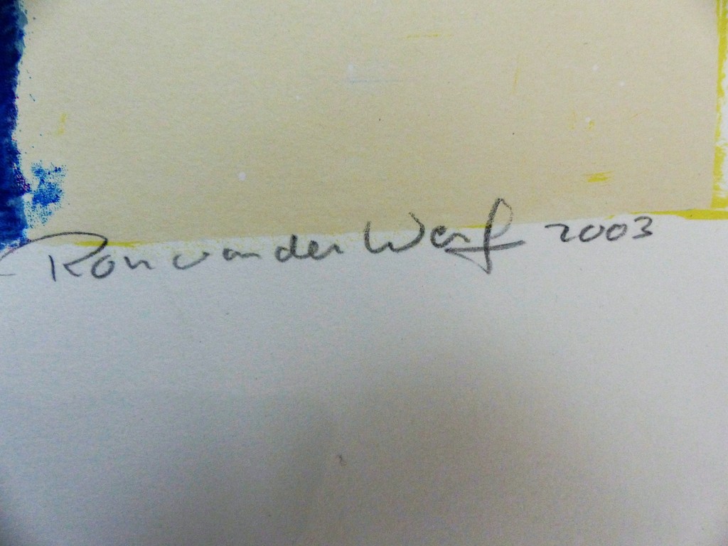 Ron v/d Werf,zeefdruk op papier met zwelinkt,Mysterie 1,Handgesigneerd kopen? Bied vanaf 50!