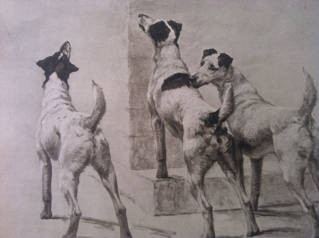 Maud Earl: Ets, A Masked Fox kopen? Bied vanaf 100!