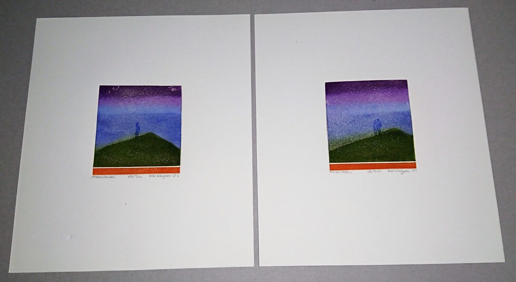 Ries Kleijnen, 2 etsen,Alleensamen/Samenalleen verkocht voor € 40!