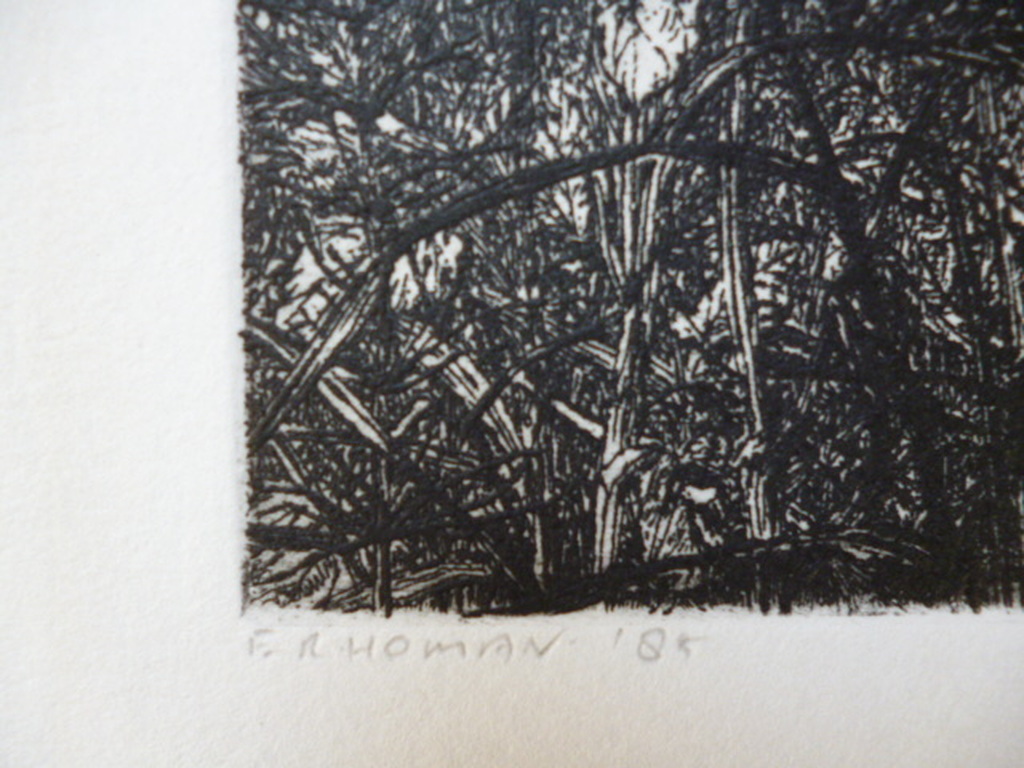 Reinder Homan - ets - Landschap kopen? Bied vanaf 45!