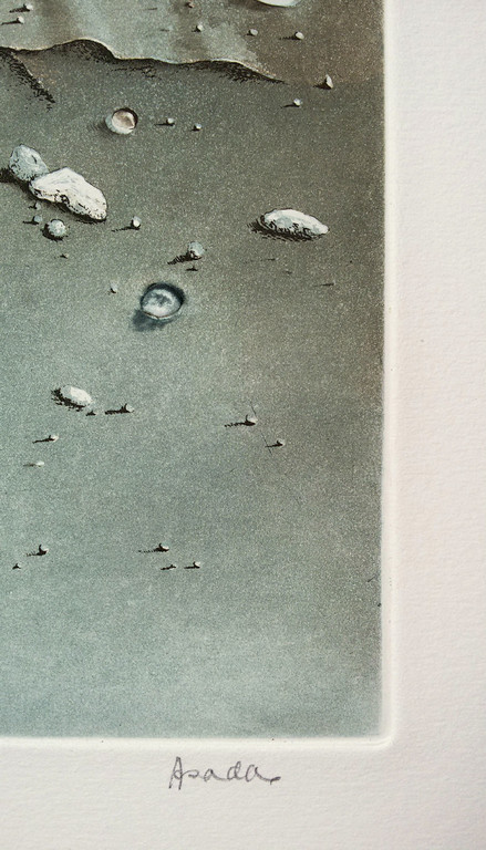 Hiroshi Asada - Wrakhout, aquatint ets kopen? Bied vanaf 55!