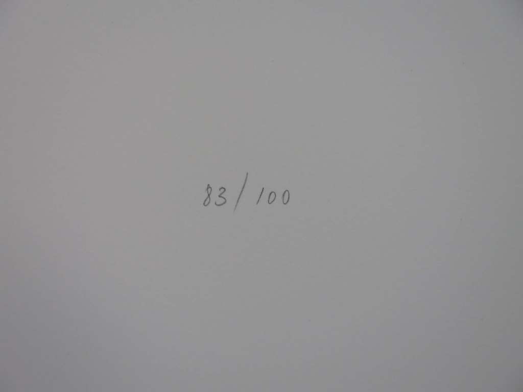 Uli Pohl: Zeefdruk, Circulair kopen? Bied vanaf 50!