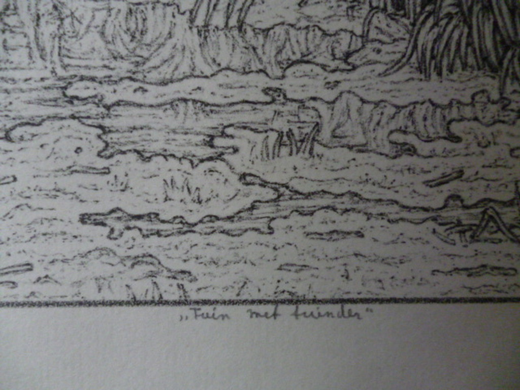 Rudolf Bremmer - litho - Tuin  met tuinder kopen? Bied vanaf 40!