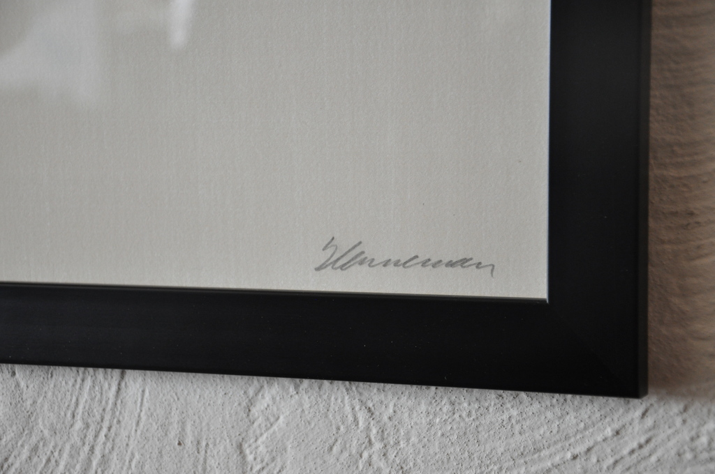 Jeroen Henneman - Beatrix kopen? Bied vanaf 245!