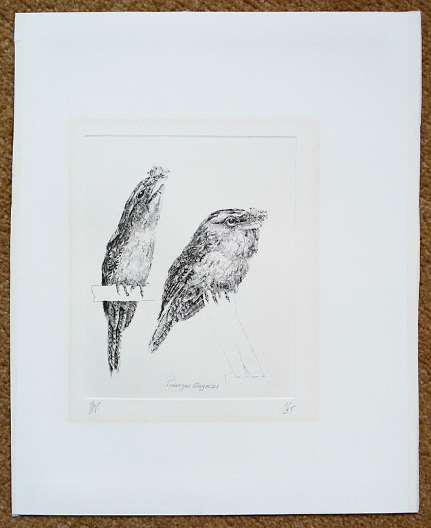 Peter Vos - Podargus strigoides, droge naald ets (eerste druk) kopen? Bied vanaf 115!